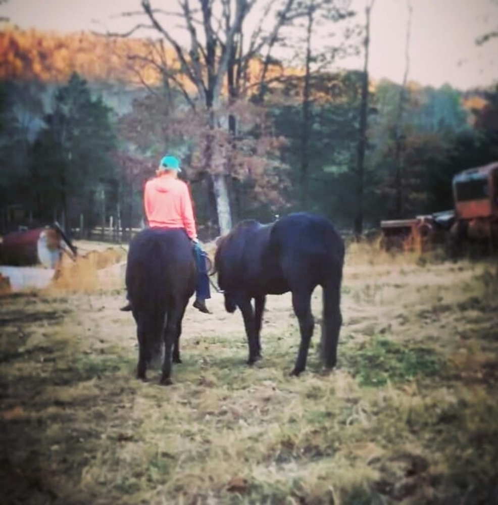 Meet your Posher, Gracie